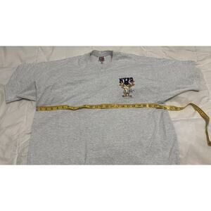 NYPD TASMANIAN DEVIL LOONEY TUNES GRAY T SHIRT MENS XXL HANES